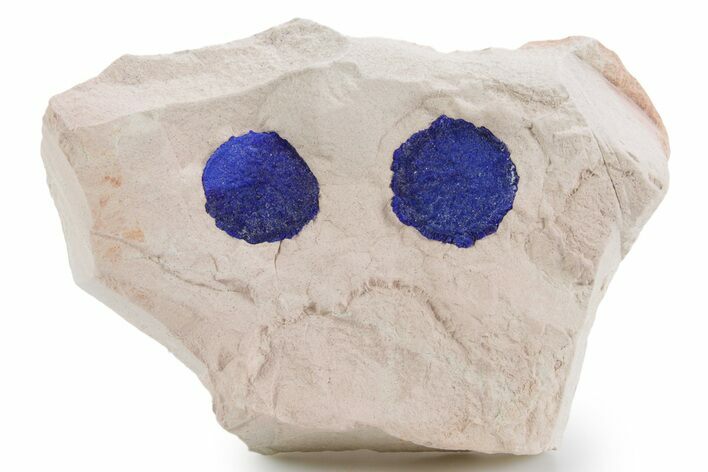 Vibrant Blue Azurite Suns on Siltstone - Australia #361224